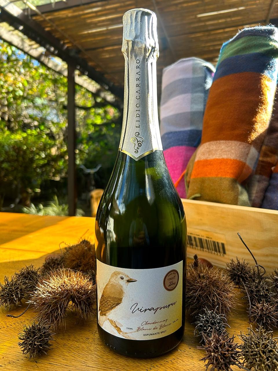 UIRAPURU Brut